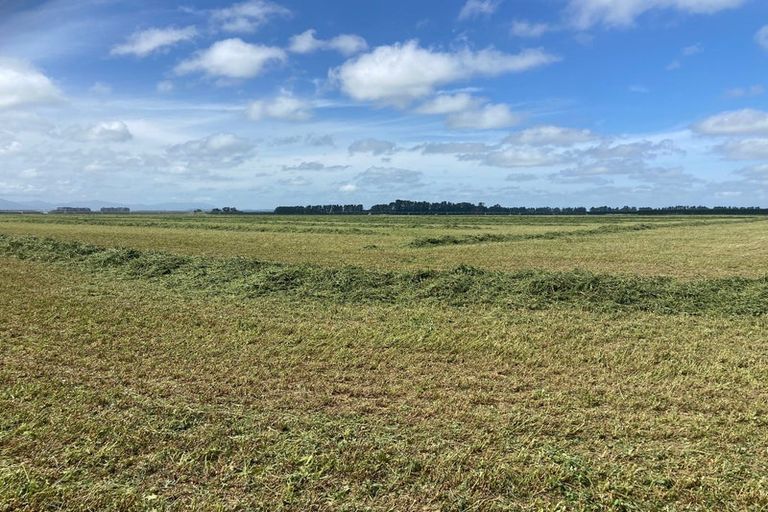 Photo of property in 784 Wrights Road, Oxford, 7495