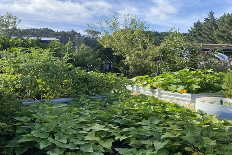 Photo of property in 62 Lawton Drive, Kawhia, 3889