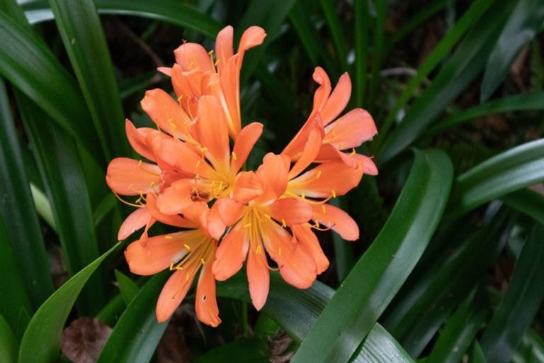 Photo of property in 195 Driving Creek Road, Coromandel, 3506