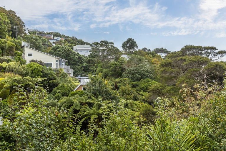 Photo of property in 12 Krull Street, Vogeltown, Wellington, 6021