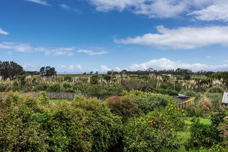 Photo of property in 20 Manawahe Road, Matata, Whakatane, 3194