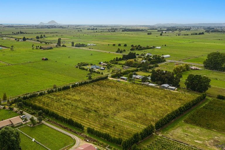 Photo of property in 17 Mccutchan Road, Otakiri, Whakatane, 3193