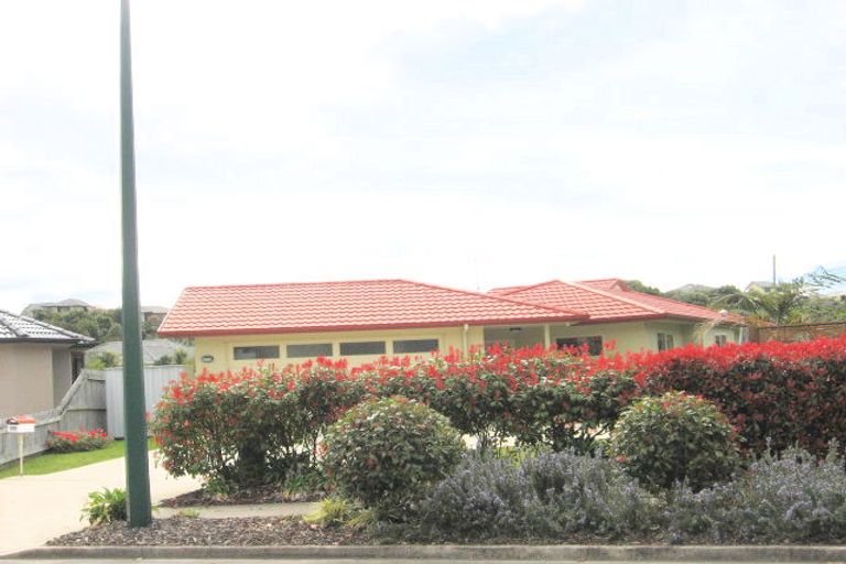 Photo of property in 239 Castlewold Drive, Bethlehem, Tauranga, 3110