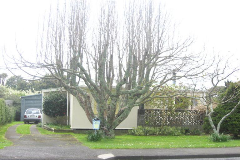 Photo of property in 245 Huatoki Street, Upper Vogeltown, New Plymouth, 4310