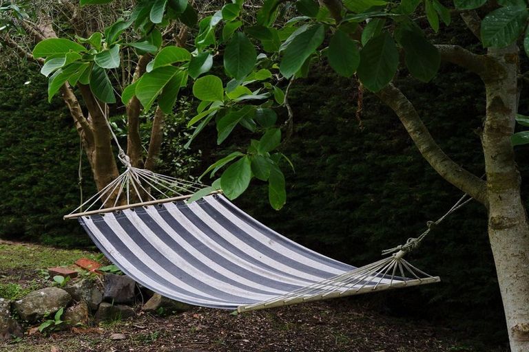 Photo of property in 175 Gladstone Road, Dalmore, Dunedin, 9010