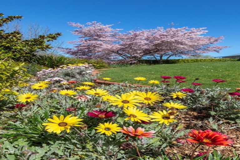 Photo of property in 15 Josephine Place, Te Kauwhata, 3782