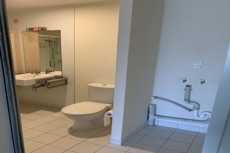 Photo of property in Luna Apartments, 1p/16 Burton Street, Grafton, Auckland, 1010