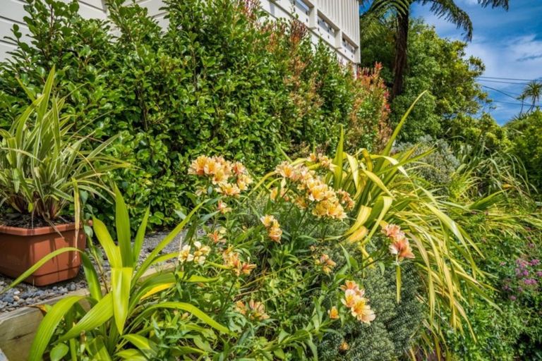 Photo of property in 5 Emerson Street, Berhampore, Wellington, 6023