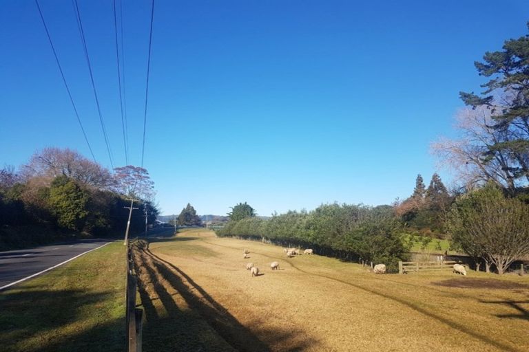 Photo of property in 249 Plummers Point Road, Whakamarama, Tauranga, 3172