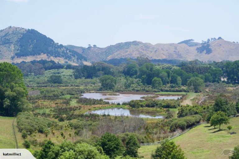 Photo of property in 93 Koutunui Road, Athenree, Katikati, 3177