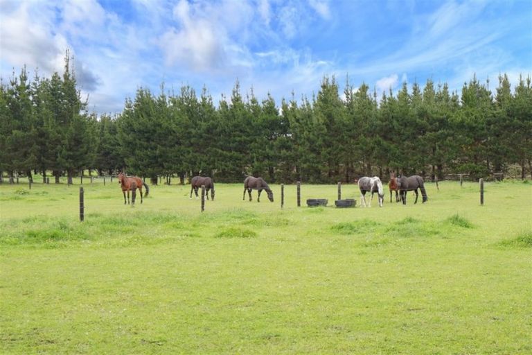 Photo of property in 115 Leslies Road, Cust, Rangiora, 7471