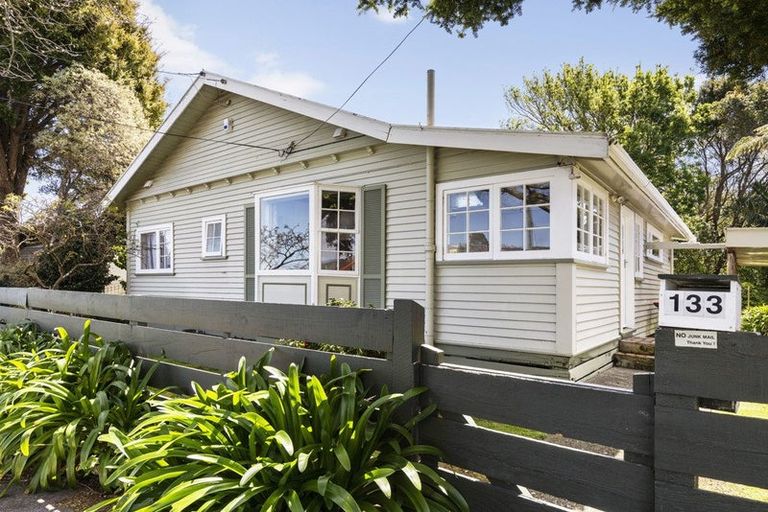 Photo of property in 133 Kings Crescent, Hutt Central, Lower Hutt, 5010