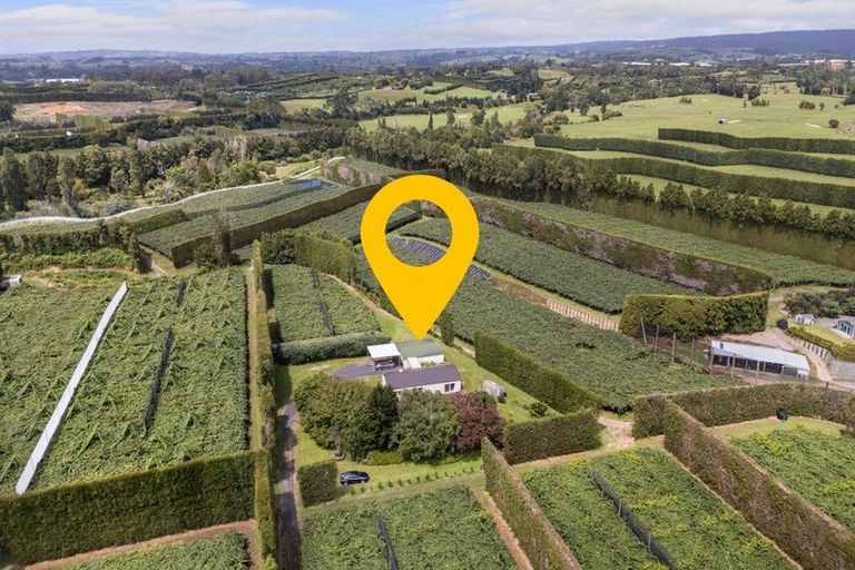 Photo of property in 81 Lockington Road, Aongatete, Katikati, 3181