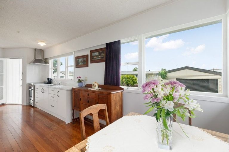 Photo of property in 105 Centennial Avenue, Thames, 3500