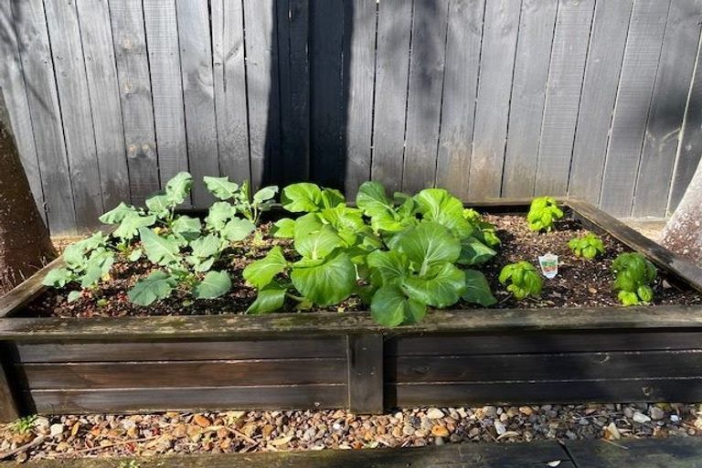 Photo of property in 1/86 Saddleback Rise, Murrays Bay, Auckland, 0630