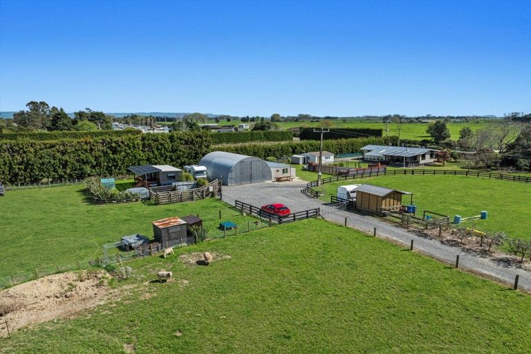 Photo of property in 314 Te Rahu Road, Poroporo, Whakatane, 3193
