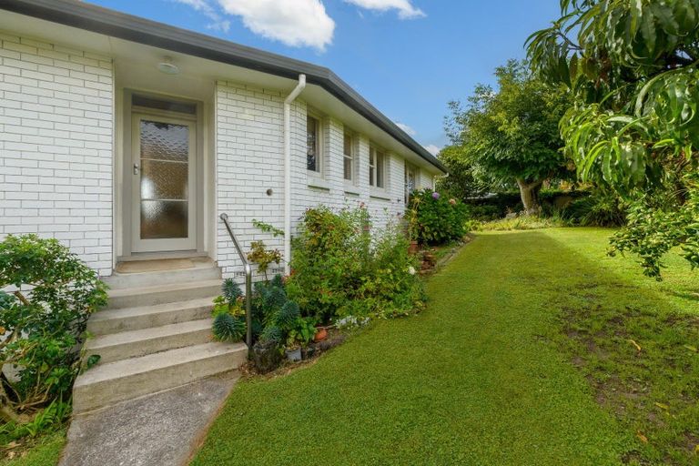Photo of property in 50a Harvey Street, Tauranga South, Tauranga, 3112