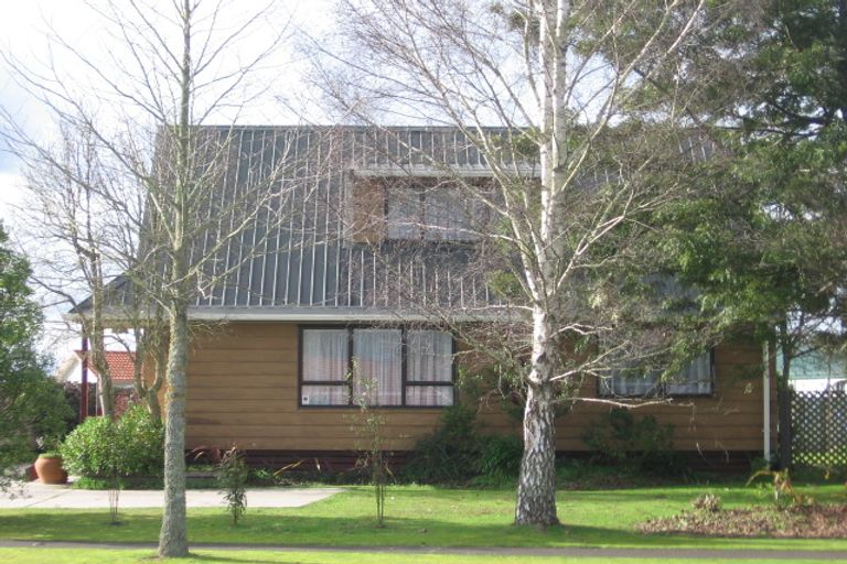 Photo of property in 48 Endeavour Avenue, Flagstaff, Hamilton, 3210