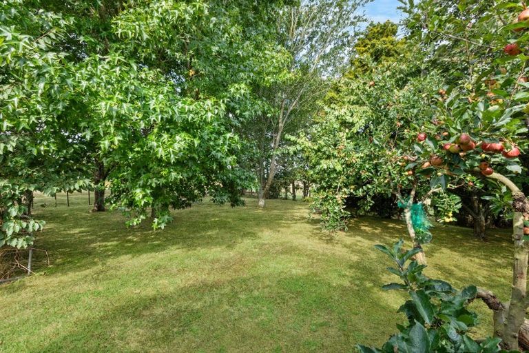 Photo of property in 329 Kiwitahi Station Road, Morrinsville, 3371