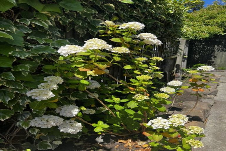 Photo of property in 1/141 Somerfield Street, Somerfield, Christchurch, 8024