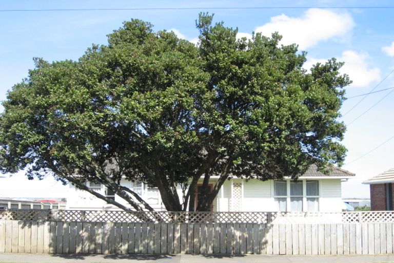 Photo of property in 31 Akatea Street, Gonville, Whanganui, 4501