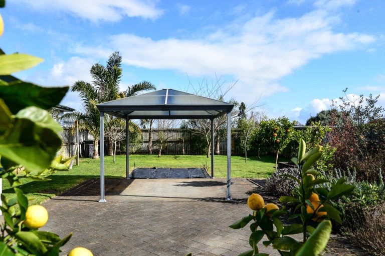 Photo of property in 21 Churchill Avenue, Maeroa, Hamilton, 3200