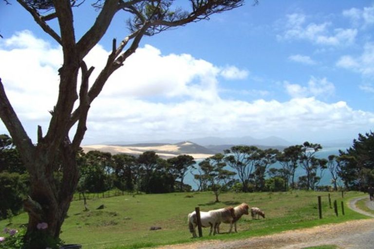 Photo of property in 8219 State Highway 12, Omapere, Kaikohe, 0473