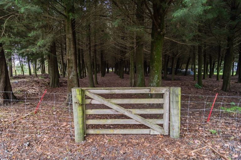 Photo of property in 296 Rangitata Island Road, Rangitata Island, Temuka, 7986