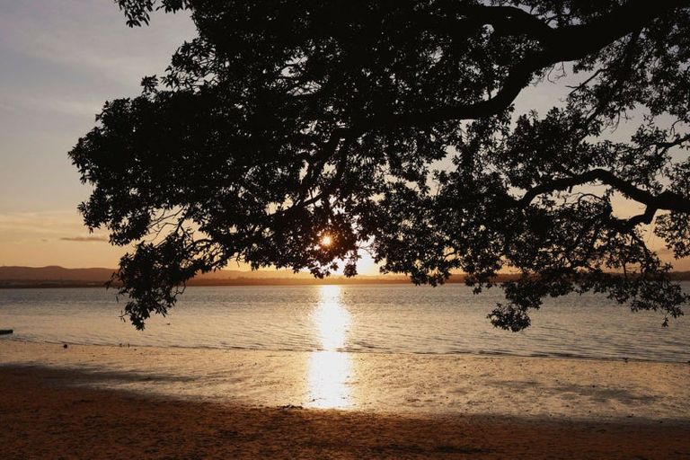 Photo of property in 16 Joan Street, Point Chevalier, Auckland, 1022