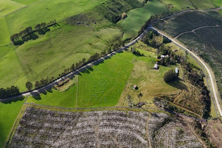 Photo of property in 226 Mokoreta-tahakopa Road, Mokoreta, Wyndham, 9892