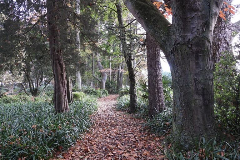 Photo of property in Ashfield, 410 Orari Station Road, Geraldine, 7992