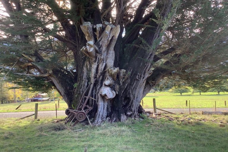 Photo of property in 759 Wakamarina Road, Wakamarina, Havelock, 7178