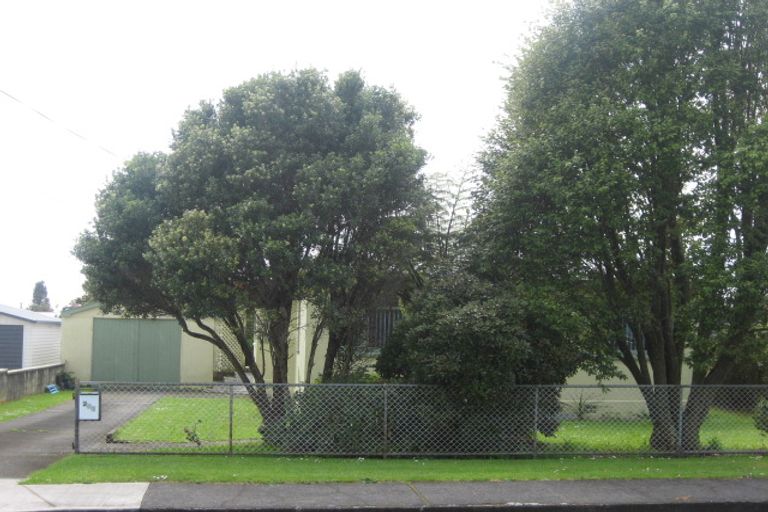 Photo of property in 243 Huatoki Street, Upper Vogeltown, New Plymouth, 4310