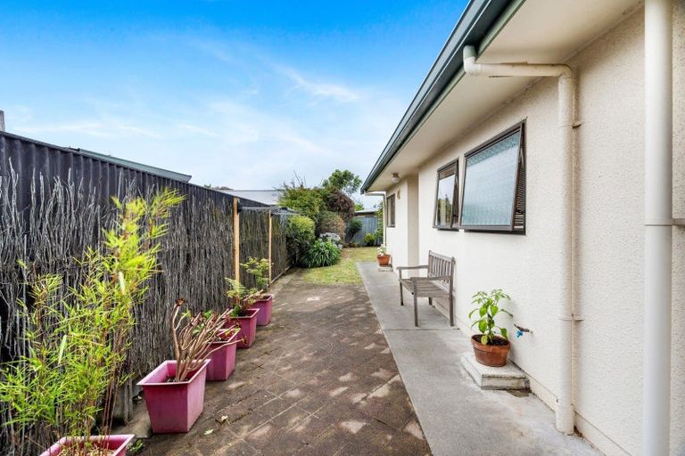 Photo of property in 19 Titoki Crescent, Pirimai, Napier, 4112