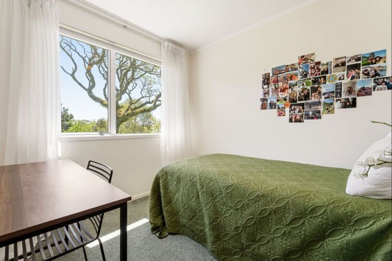 Photo of property in 42 Leyland Road, Whakamarama, Tauranga, 3179