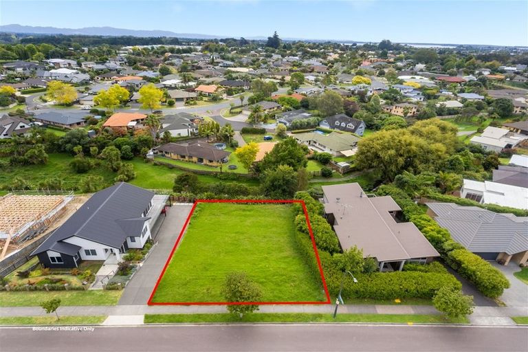 Photo of property in 113 Castlewold Drive, Bethlehem, Tauranga, 3110