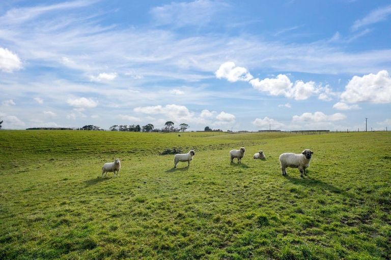 Photo of property in 98 Mcintosh Road, Otautau, 9683