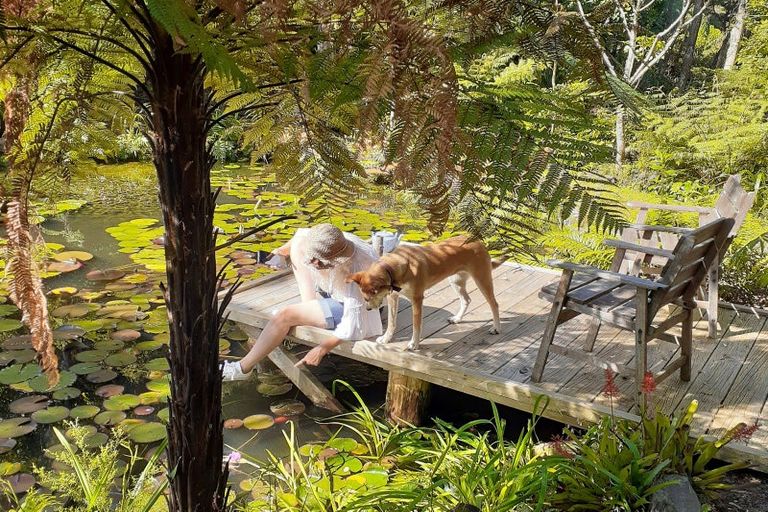 Photo of property in 871b Tiki Quarry Road, Preece Point, Coromandel, 3581