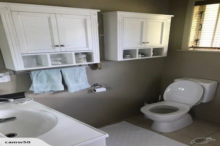 Photo of property in 24 Gillies Avenue, Claudelands, Hamilton, 3214