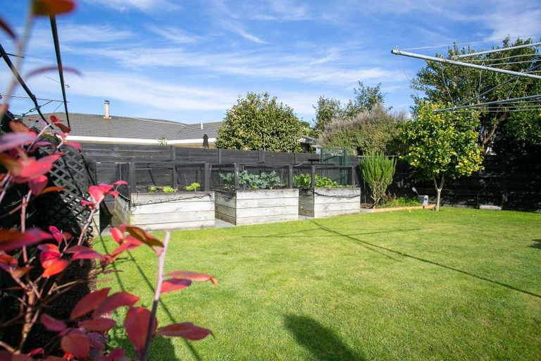 Photo of property in 91 Williams Street, Cambridge, 3434