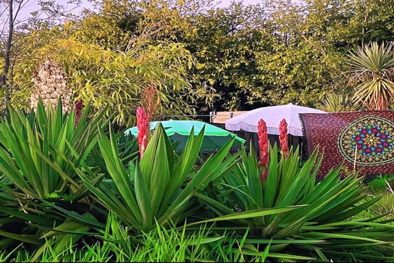 Photo of property in 177 Buller Road, Reefton, 7830