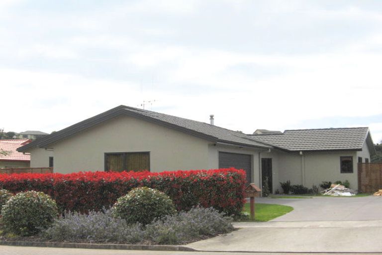 Photo of property in 243 Castlewold Drive, Bethlehem, Tauranga, 3110