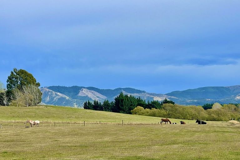 Photo of property in 90 Maytown Road, Waimate, 7978