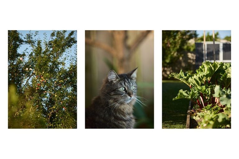 Photo of property in 19c Thames Road, Paeroa, 3600