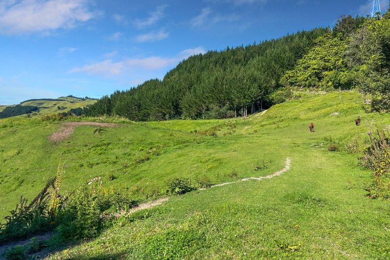 Photo of property in 109 Mcivor Road, Rotoma, Whakatane, 3192