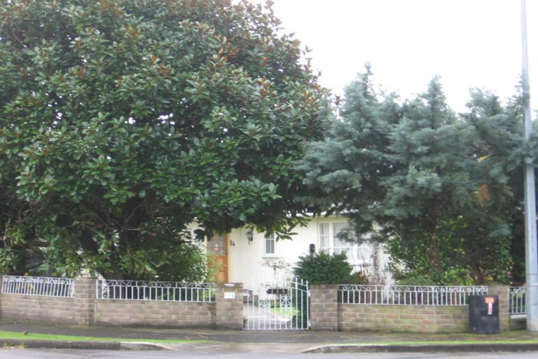 Photo of property in 113 Pahiatua Street, Hokowhitu, Palmerston North, 4410