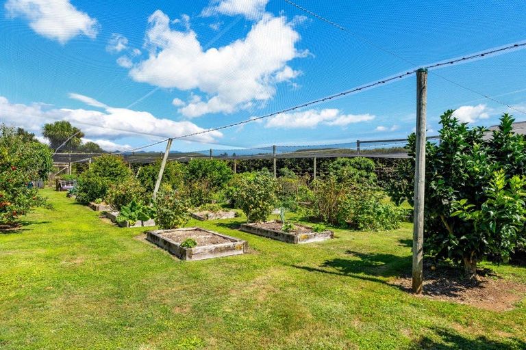 Photo of property in 77c Dorset Road, Hillsborough, New Plymouth, 4372