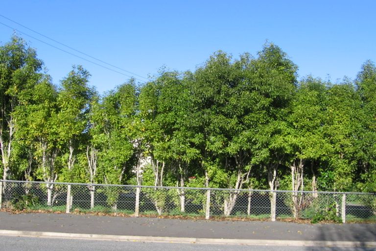 Photo of property in 8 Pukeko Street, Frankton, Hamilton, 3204