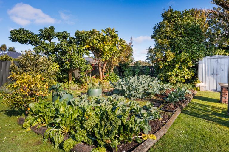 Photo of property in 21 Karina Terrace, Roslyn, Palmerston North, 4414