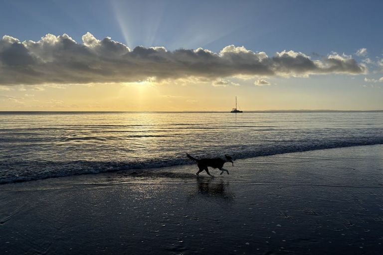 Photo of property in 155 Glenvar Road, Long Bay, Auckland, 0630